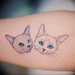 Фото рисунка тату кошка 09.10.2018 №036 - cat tattoo - tattoo-photo.ru