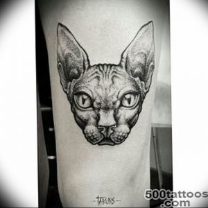 Фото рисунка тату кошка 09.10.2018 №155 - cat tattoo - tattoo-photo.ru