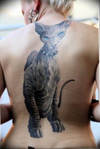 Фото рисунка тату кошка 09.10.2018 №179 - cat tattoo - tattoo-photo.ru