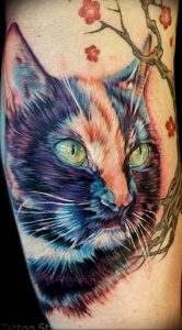 Фото рисунка тату кошка 09.10.2018 №299 - cat tattoo - tattoo-photo.ru