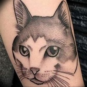 Фото рисунка тату кошка 09.10.2018 №355 - cat tattoo - tattoo-photo.ru