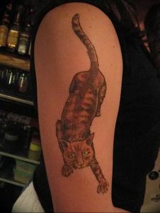 Фото рисунка тату кошка 09.10.2018 №373 - cat tattoo - tattoo-photo.ru