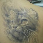 Фото рисунка тату кошка 09.10.2018 №376 - cat tattoo - tattoo-photo.ru