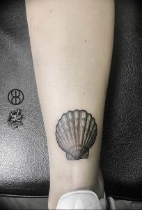 Фото рисунка тату ракушка 12.10.2018 №144 - tattoo shell - tattoo-photo.ru