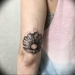 Фото рисунка тату ракушка 12.10.2018 №159 - tattoo shell - tattoo-photo.ru