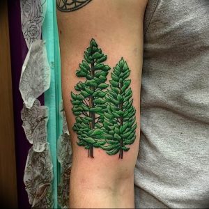 Фото рисунка тату сосна 11.10.2018 №019 - pine tattoo - tattoo-photo.ru