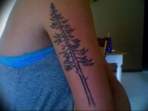 Фото рисунка тату сосна 11.10.2018 №041 - pine tattoo - tattoo-photo.ru