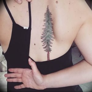 Фото рисунка тату сосна 11.10.2018 №044 - pine tattoo - tattoo-photo.ru