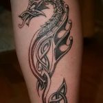 Фото татуировки дракон от 24.09.2018 №240 - dragon tattoo - tattoo-photo.ru