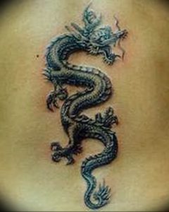 Фото татуировки дракон от 24.09.2018 №317 - dragon tattoo - tattoo-photo.ru