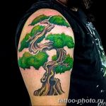 Фото тату Бонсай 26.10.2018 №001 - tattoo bonsai - tattoo-photo.ru