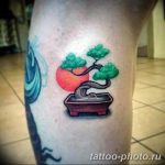 Фото тату Бонсай 26.10.2018 №013 - tattoo bonsai - tattoo-photo.ru