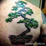 Фото тату Бонсай 26.10.2018 №113 - tattoo bonsai - tattoo-photo.ru