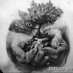 Фото тату Бонсай 26.10.2018 №204 - tattoo bonsai - tattoo-photo.ru