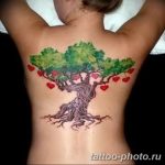 Фото тату Бонсай 26.10.2018 №205 - tattoo bonsai - tattoo-photo.ru