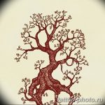Фото тату Бонсай 26.10.2018 №210 - tattoo bonsai - tattoo-photo.ru