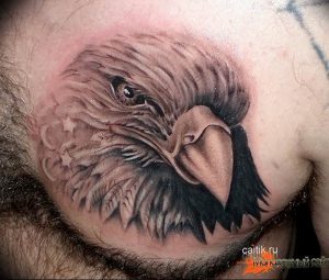 Фото тату беркут 10.10.2018 №106 - tattoo eagle - tattoo-photo.ru