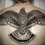 Фото тату беркут 10.10.2018 №115 - tattoo eagle - tattoo-photo.ru