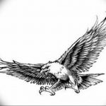 Фото тату беркут 10.10.2018 №130 - tattoo eagle - tattoo-photo.ru
