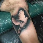 Фото тату голубь 26.10.2018 №005 - tattoo dove - tattoo-photo.ru