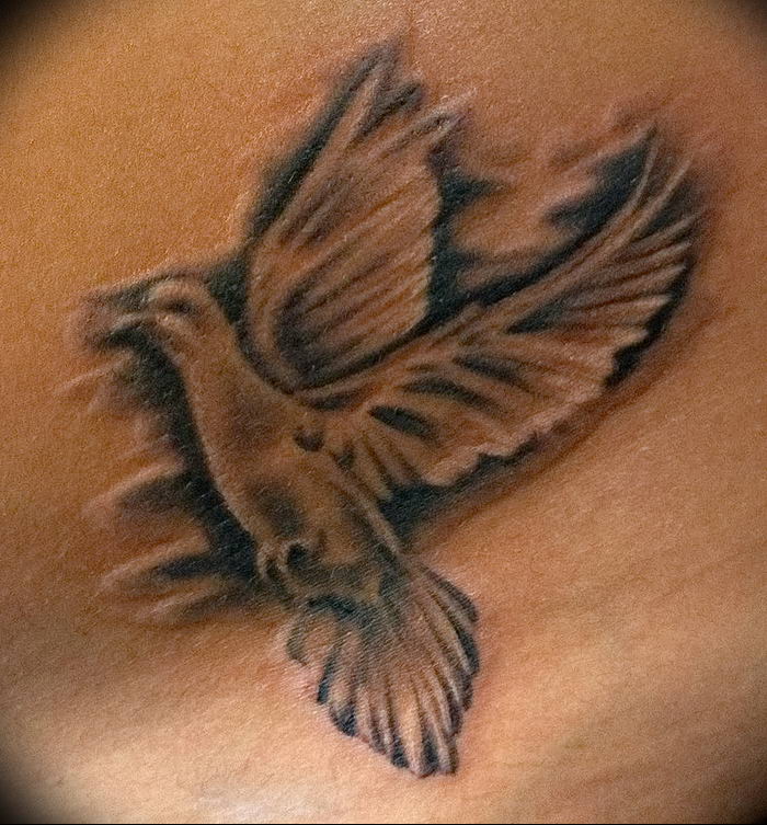 26.10.2018 № 118 - tattoo dove - tattoo-photo.ru. 