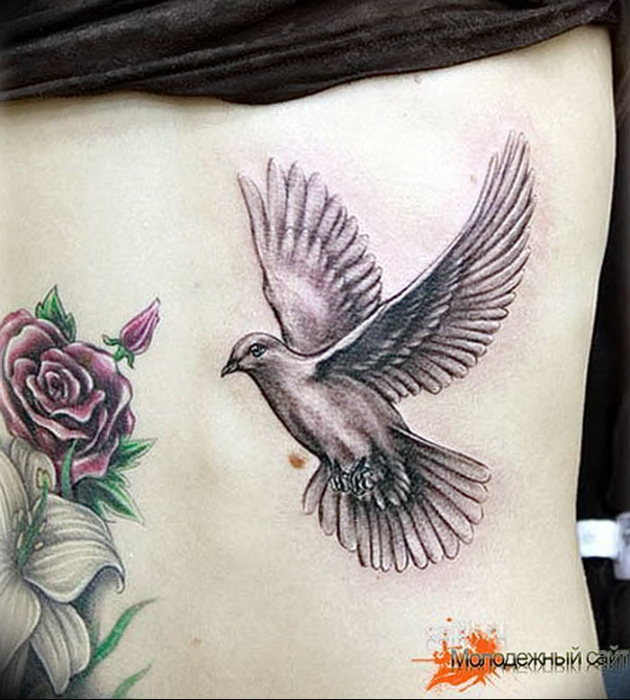 Фото тату голубь 26.10.2018 № 208 - tattoo dove - tattoo-photo.ru.