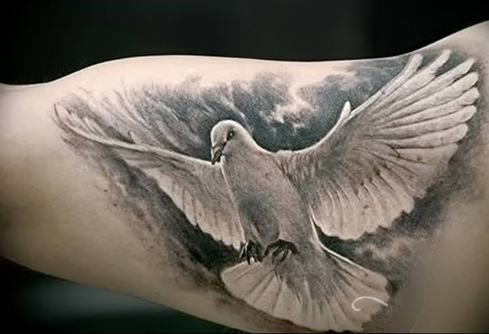 Фото тату голубь 26.10.2018 № 219 - tattoo dove - tattoo-photo.ru.