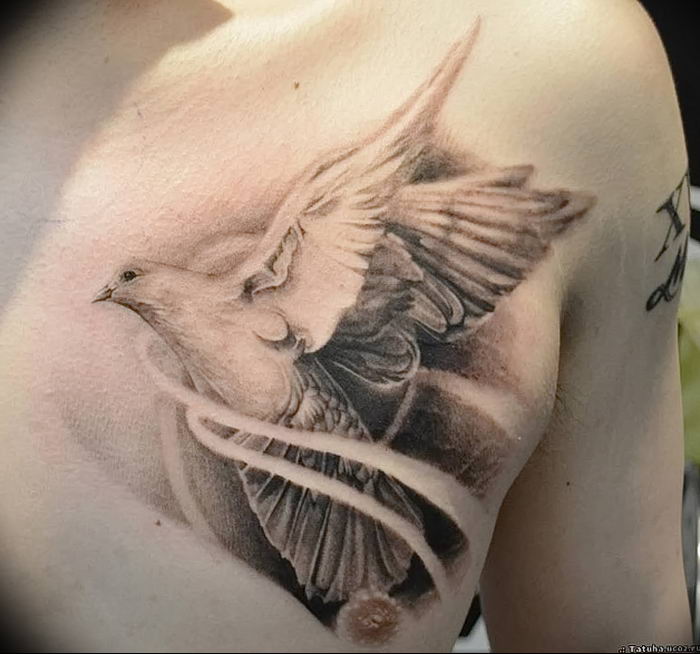 Фото тату голубь 26.10.2018 № 242 - tattoo dove - tattoo-photo.ru.