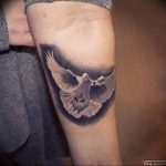 Фото тату голубь 26.10.2018 №256 - tattoo dove - tattoo-photo.ru
