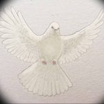 Фото тату голубь 26.10.2018 №258 - tattoo dove - tattoo-photo.ru