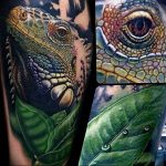 Фото тату игуана 26.10.2018 №009 - tattoo iguana - tattoo-photo.ru