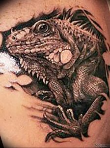 Фото тату игуана 26.10.2018 №064 - tattoo iguana - tattoo-photo.ru