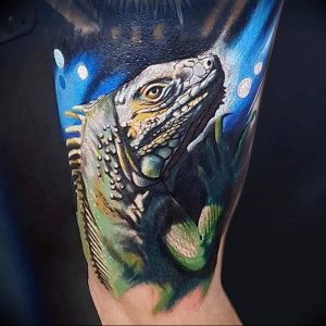 Фото тату игуана 26.10.2018 №068 - tattoo iguana - tattoo-photo.ru