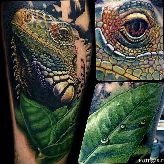 Фото тату игуана 26.10.2018 №101 - tattoo iguana - tattoo-photo.ru