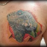 Фото тату игуана 26.10.2018 №132 - tattoo iguana - tattoo-photo.ru