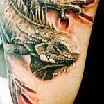 Фото тату игуана 26.10.2018 №139 - tattoo iguana - tattoo-photo.ru