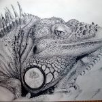 Фото тату игуана 26.10.2018 №142 - tattoo iguana - tattoo-photo.ru