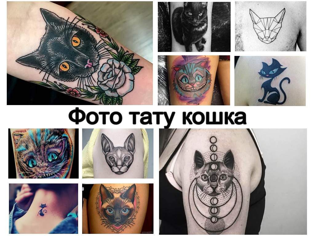 Фото тату кошка - оригинальные примеры готовых рисунков на теле
