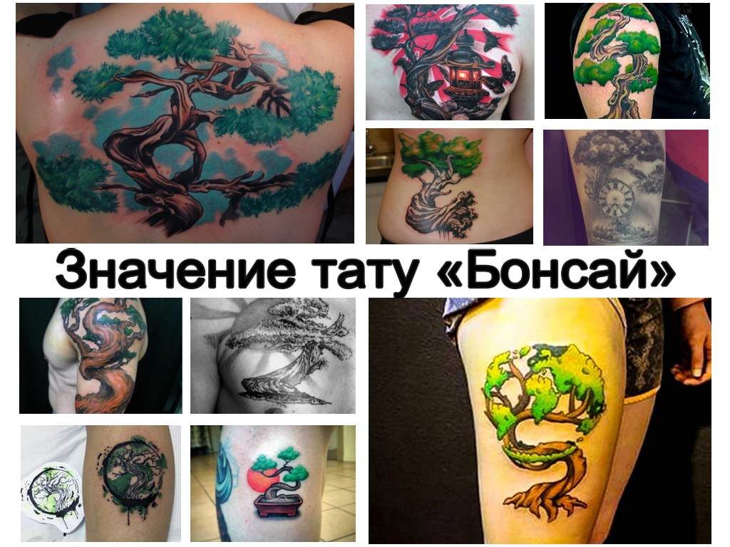 Значение тату Бонсай - коллекция фото примеров рисунков готовых татуировок