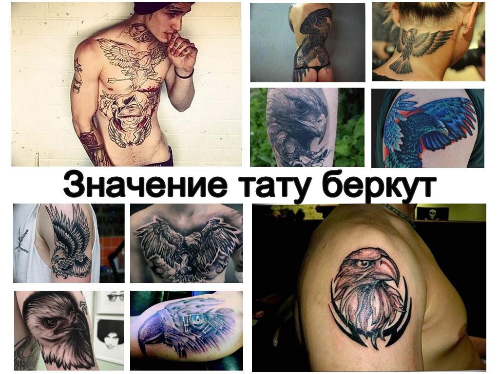 Значение тату беркут - коллекция интересных фото примеров рисунка татуировки