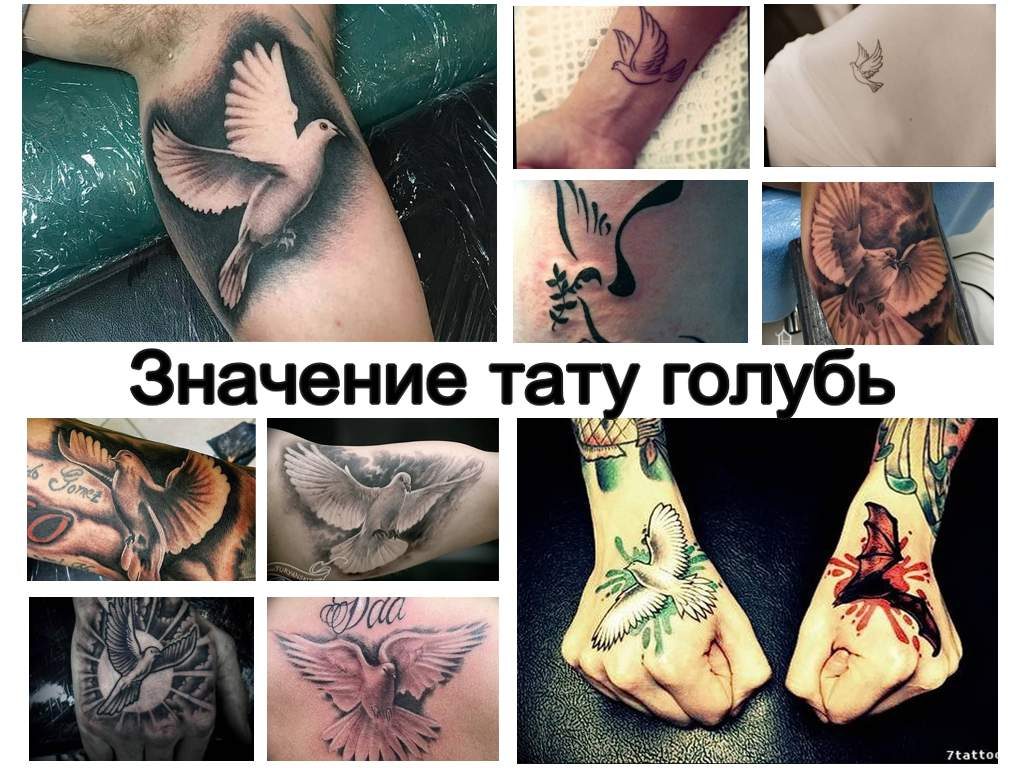 Татуировки голуби: значение и 23 фото и эскизов