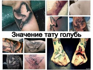 Значение тату голубь - оригинальная коллекция рисунков татуировки на фото