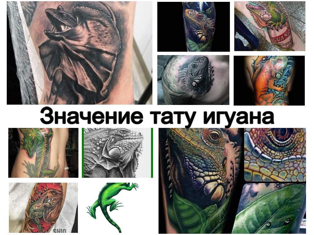 Значение тату игуана - коллекция фото примеров интересных рисунков татуировки