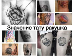 Значение тату морская ракушка - коллекция оригинальных рисунков татуировки на фото