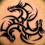 Фото рисунка тату дракон 12.10.2018 №064 - dragon tattoo - tattoo-photo.ru