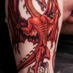 Фото рисунка тату дракон 12.10.2018 №121 - dragon tattoo - tattoo-photo.ru