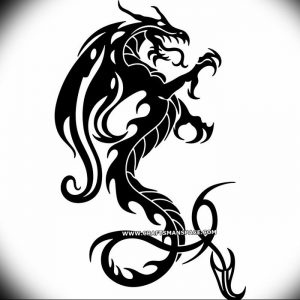 Фото рисунка тату дракон 12.10.2018 №148 - dragon tattoo - tattoo-photo.ru