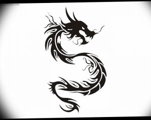 Фото рисунка тату дракон 12.10.2018 №166 - dragon tattoo - tattoo-photo.ru
