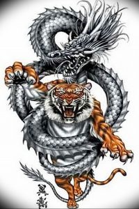 Фото рисунка тату дракон 12.10.2018 №206 - dragon tattoo - tattoo-photo.ru