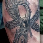 Фото рисунка тату дракон 12.10.2018 №248 - dragon tattoo - tattoo-photo.ru